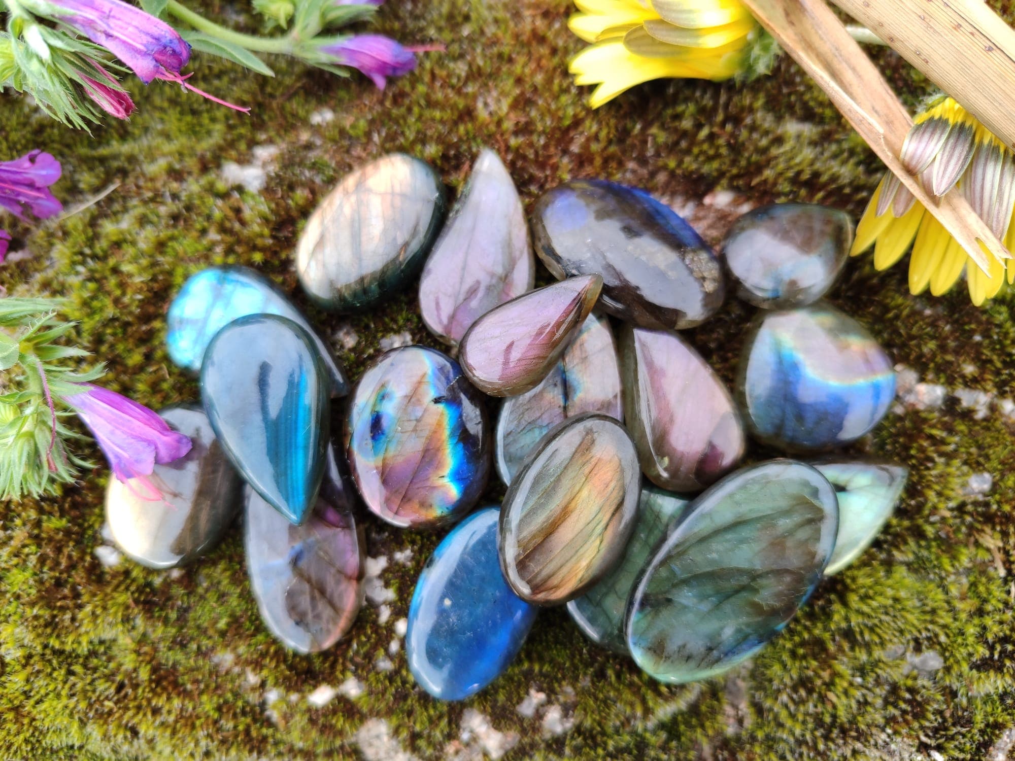 Imagem da coleção Labradorites