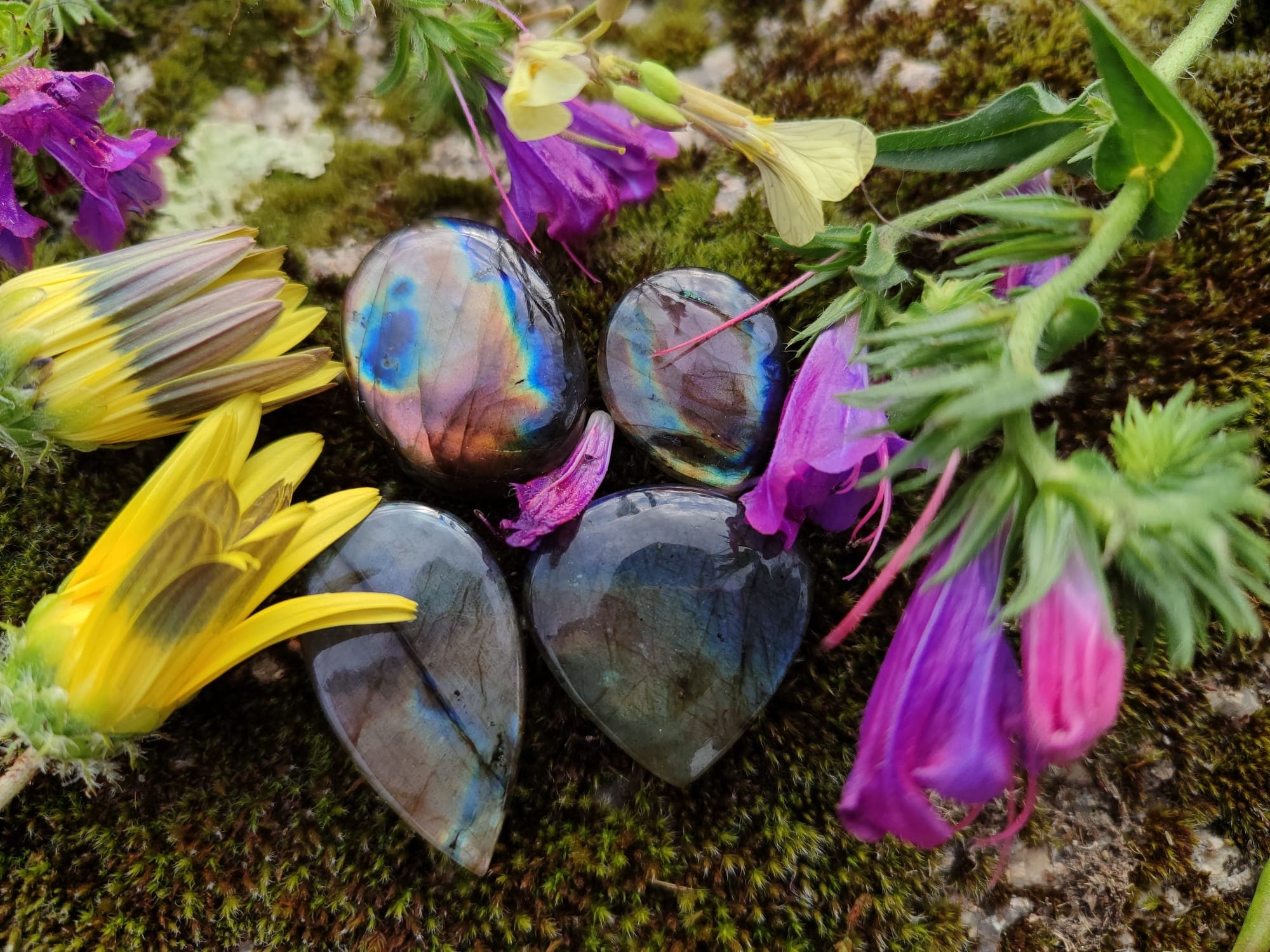 Labradorite - Multicolor
