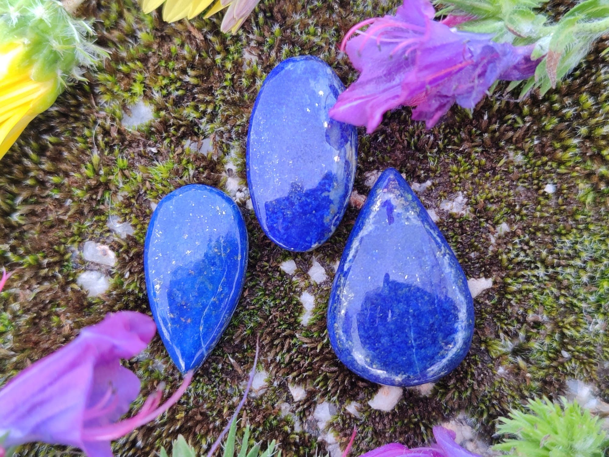 Imagem da coleção Lápis-Lazúli