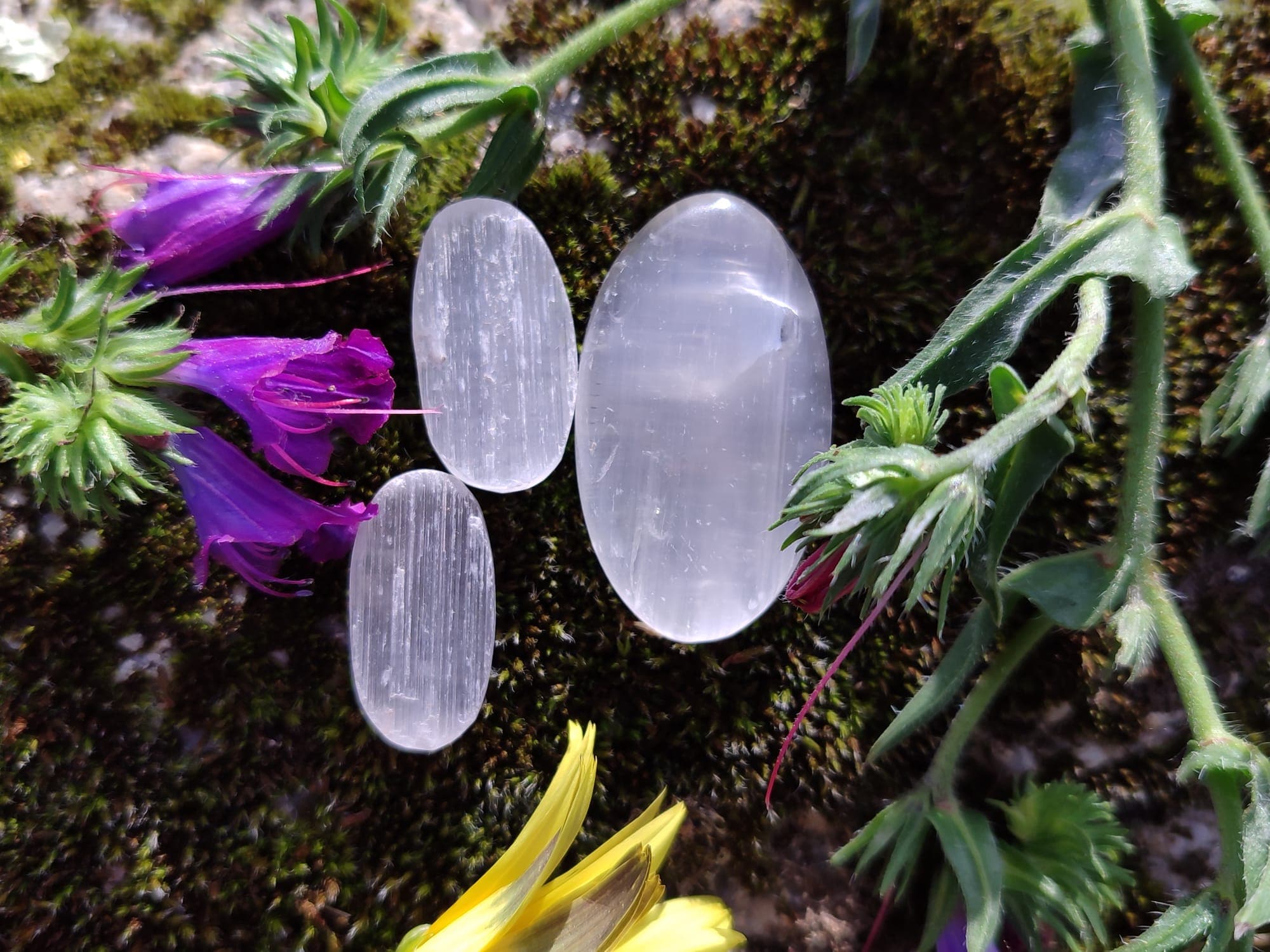 Imagem da coleção Selenite