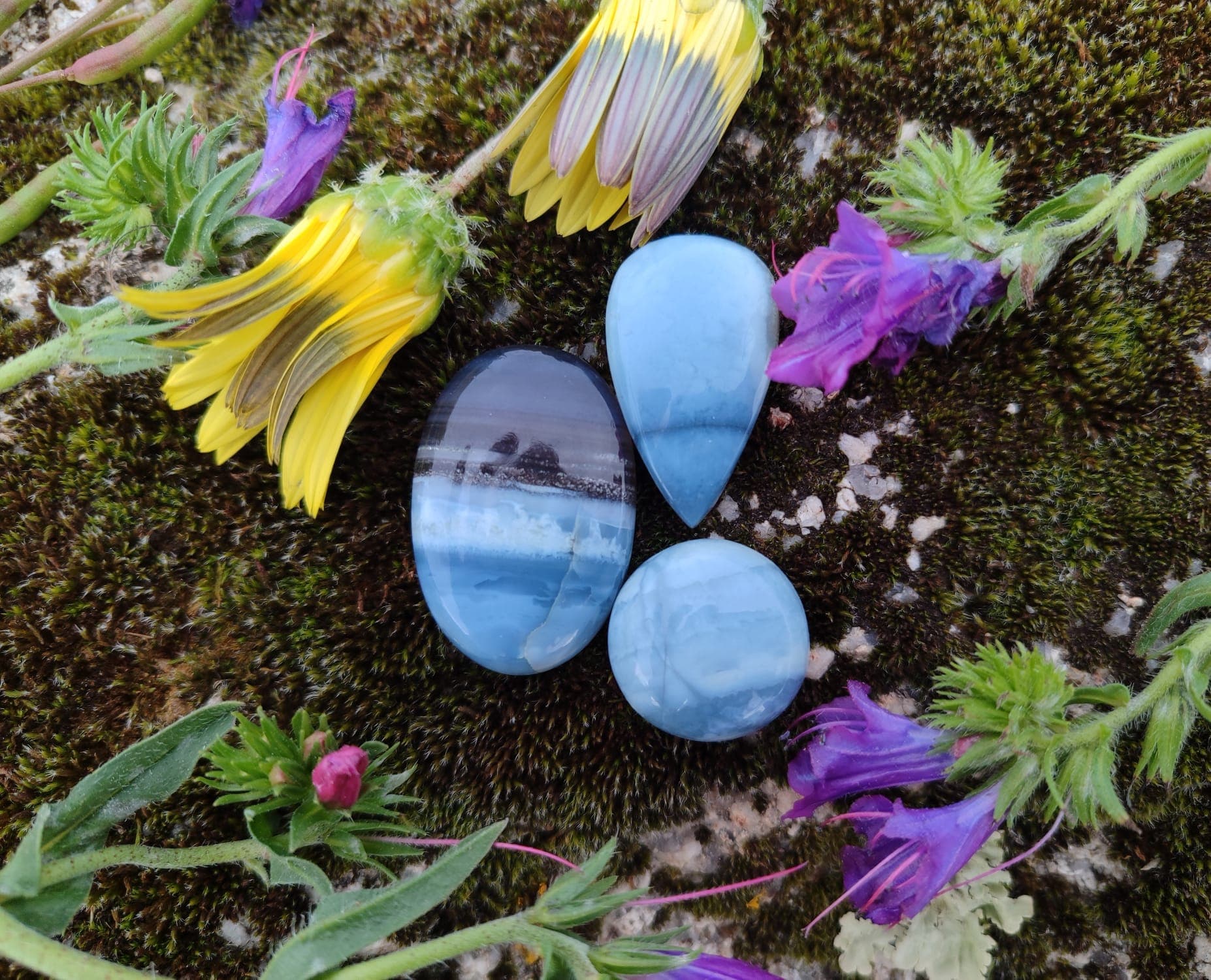 Imagem da coleção Opala - Owyhee