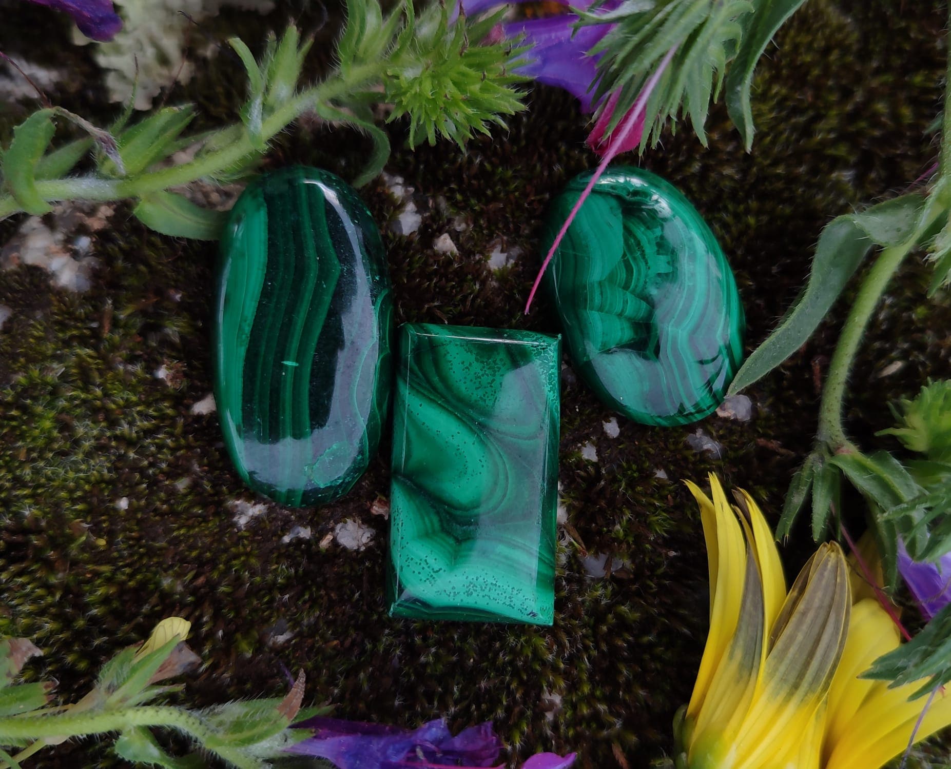 Imagem da coleção Malaquite