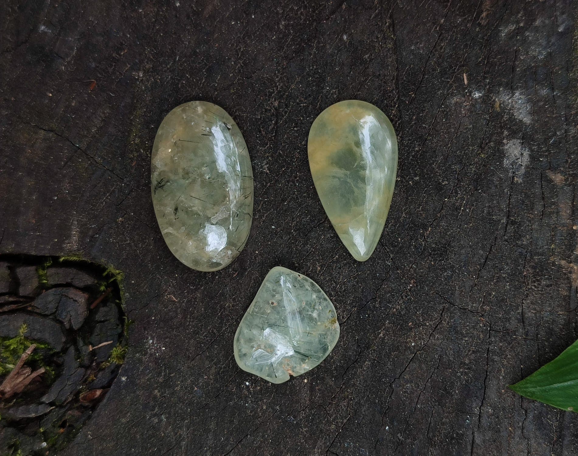 Imagem da coleção Prenite