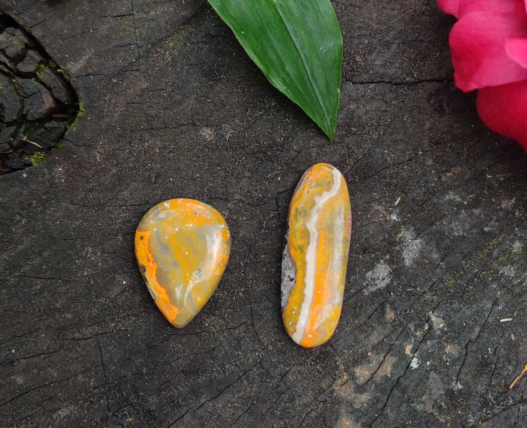 Imagem da coleção Jaspe Bumblebee